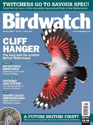 cover image of Birdwatch